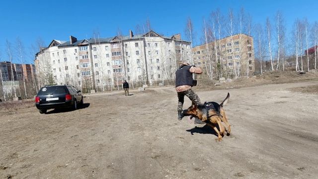 Прерванная атака с провокацией.