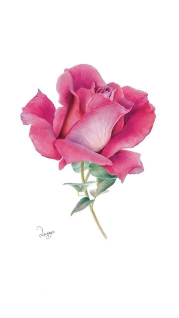 Сколько роз насчитали?  #акварель #художник #цветы #art