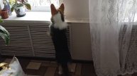 Бабуль, ну скажи ей, я же скучаю. Что она там так долго делает гав?