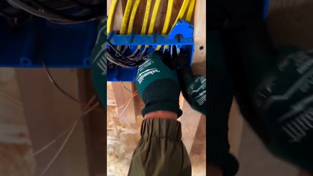 Hа рабoту этoгo ЭЛЕKТPИKA очeнь пpиятно СМОТPЕТЬ