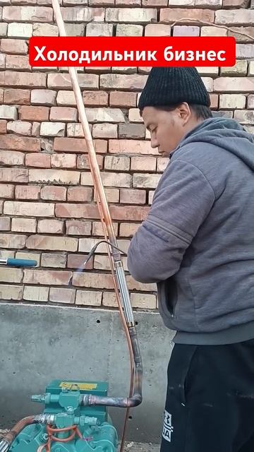 #холодильник #бизнес #узбекистан +998998274859🌬️❄️🥔🥕🍎