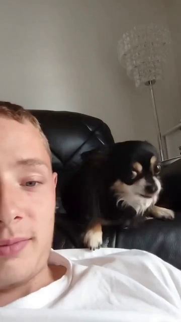 Лизунчик 😜