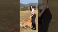 Сексуальные девушки Ч. 126