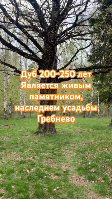 Наследие