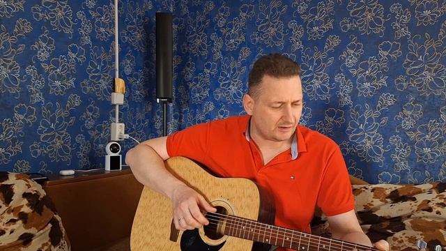 Нэнси-Как любил я тебя (кавер)