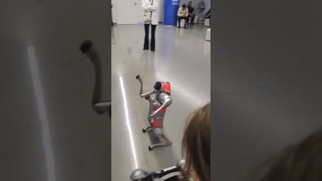 роботы собаки