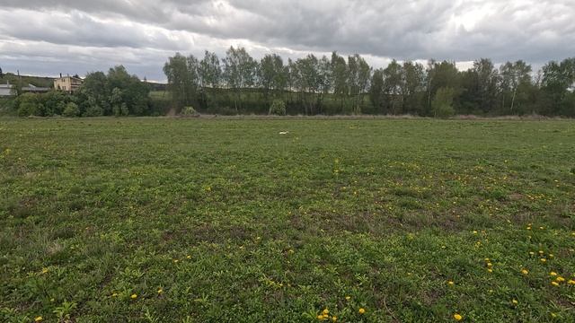 Фотий по куропатке