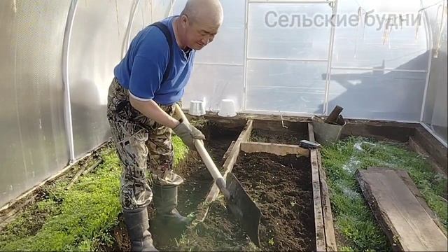 Переделываем теплицу, садим томаты....