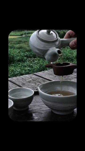 Чайная церемония #tea#teadrinker#чай#Катай#пуэр#китайскийчай
