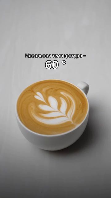 Температура молока для кофе
