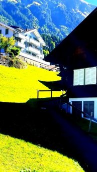 Мгновения в объективе