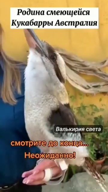VID_20250512_183354_751.mp4