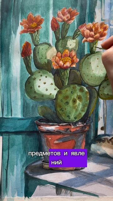 Кактус акварелью. Подробные уроки