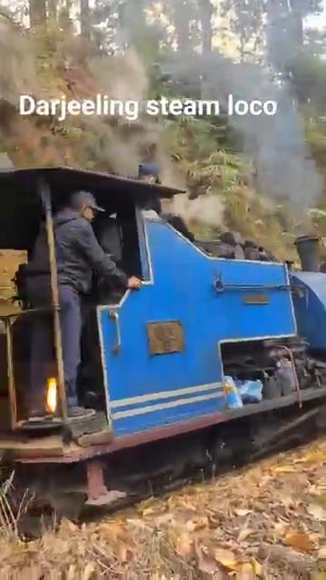 DHR, Darjeeling Himalayan Rail. steam loco. #toytrain #train #darjeeling #travel