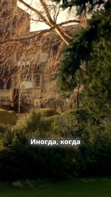 Потеря и память: Тонкие моменты жизни и любви.