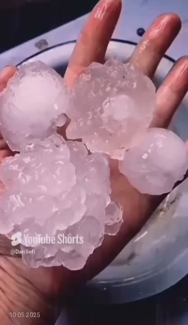 VID_20250510112733