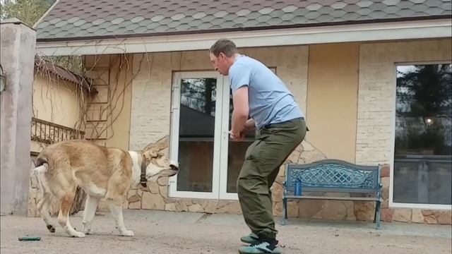 Просыпайся с нами!