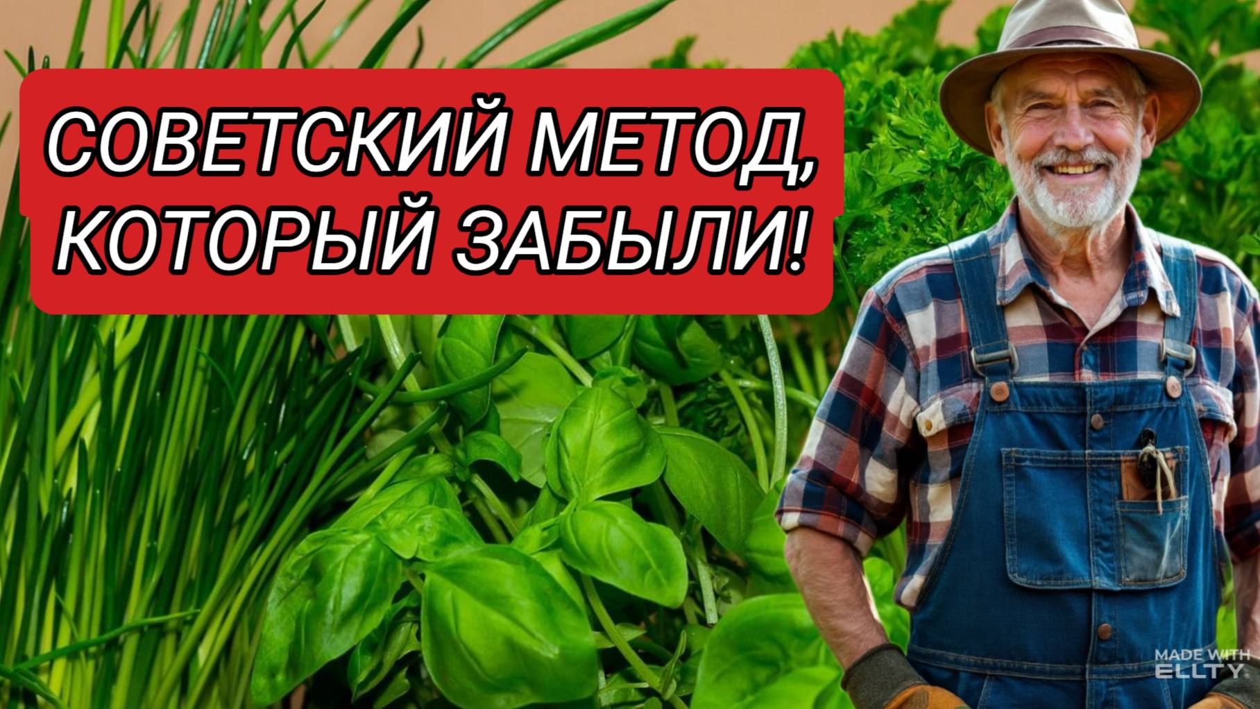 СРОЧНО! ЭТОТ УДОБРЕНИЕ ДЕЛАЕТ ЗЕМЛЮ ПЛОДОРОДНОЙ ЗА НЕДЕЛЮ!