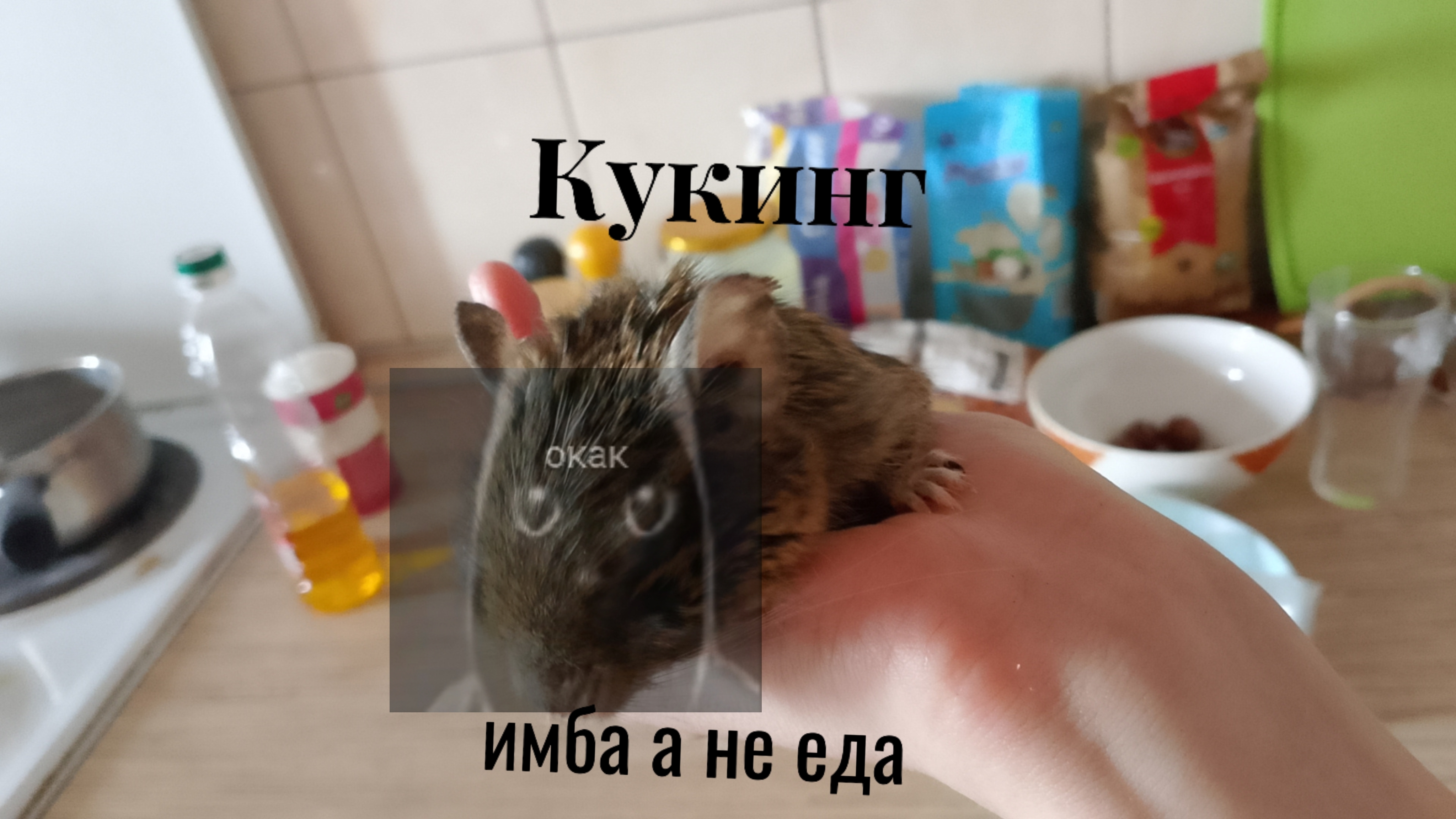 Кукинг (видео со стрима)