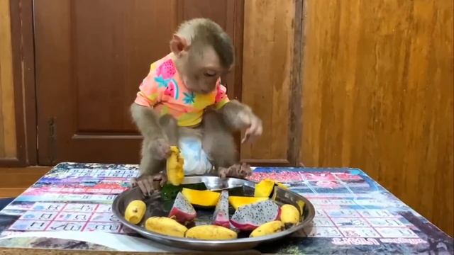Обезьянка игривая оделась еле еле Попрыгалаи фрукт поела Нас посмешила