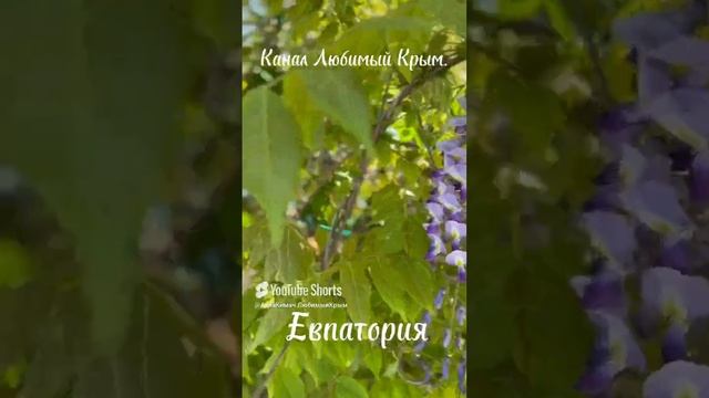 Евпатория.
