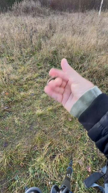 Это правда искусство друзья 🧐