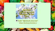 Агрогороскоп Май 2025 Лунный посевной календарь для сада и огорода