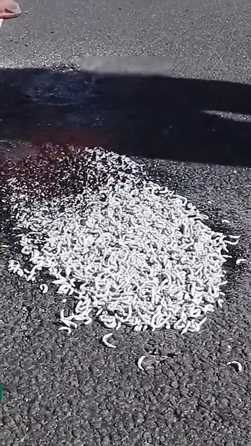 Best way to fill cracks