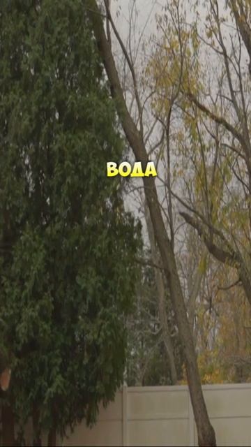 Вода из аквариума ,как удобрение