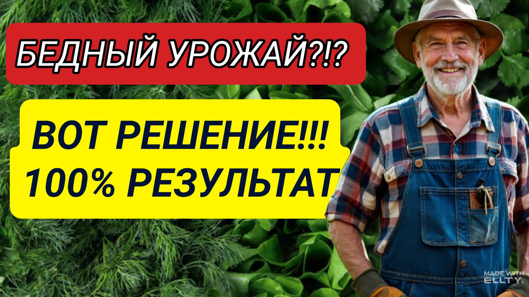 ПОЧЕМУ ВАШИ ПЕРЦЫ ГОРЬКИЕ? ШОКИРУЮЩАЯ ПРАВДА ОБ ОПЫЛЕНИИ!