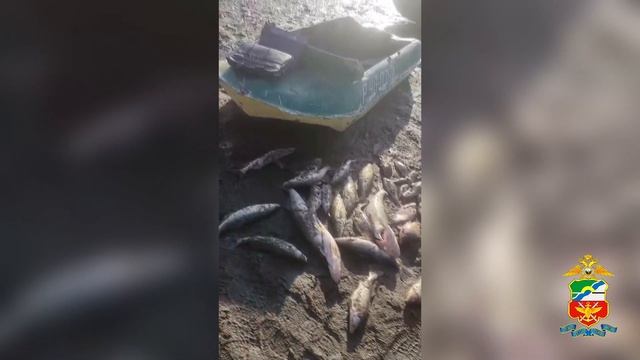️Транспортные полицейские возбудили уголовное дело о браконьерстве на воде