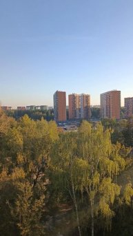 Погода в москве 25. 09. 24 анекдот про мох.