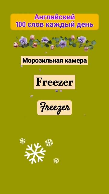 Морозильная камера перевод на #английский