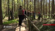 В Орловском полесье в канун Дня Победы подремонтировали тропу "Эхо войны"