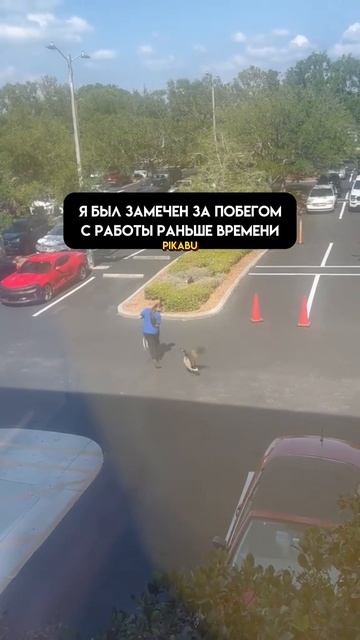 Даже животных на охрану уже поставили