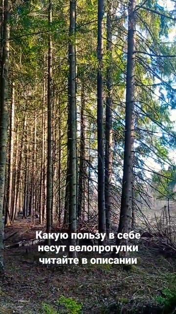 Укрепление мышц, тренировка дыхательной системы, конц