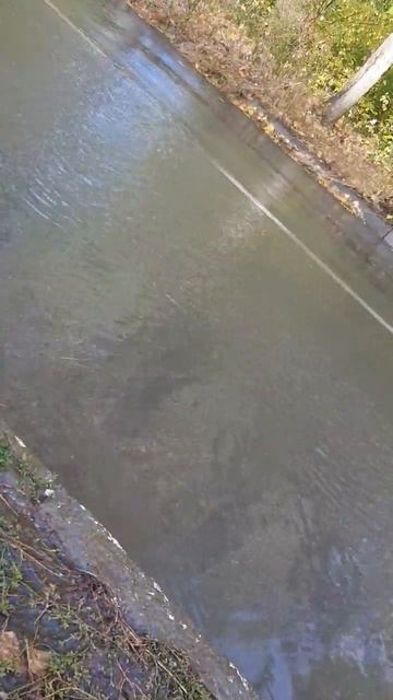 Ты наливаешь воду в чайник, вода становится чаем, нали?