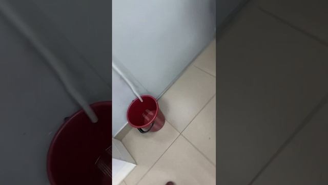 Швейная машинка Brother