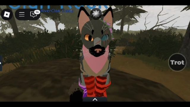 :3