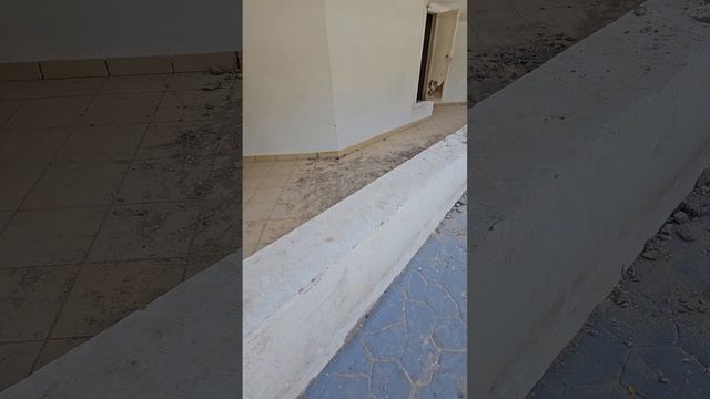 Ремонт о котором молчат все, Отель Safir Sharm Waterfalls 5*, Египет.