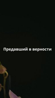 Омар Хайам сказал!