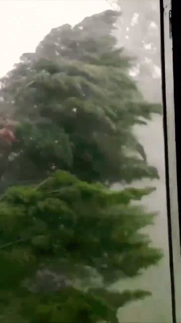 Встреча с Московским ливнем 20.06.2024 🌧️⛈️🌩️  Лиса Ми?