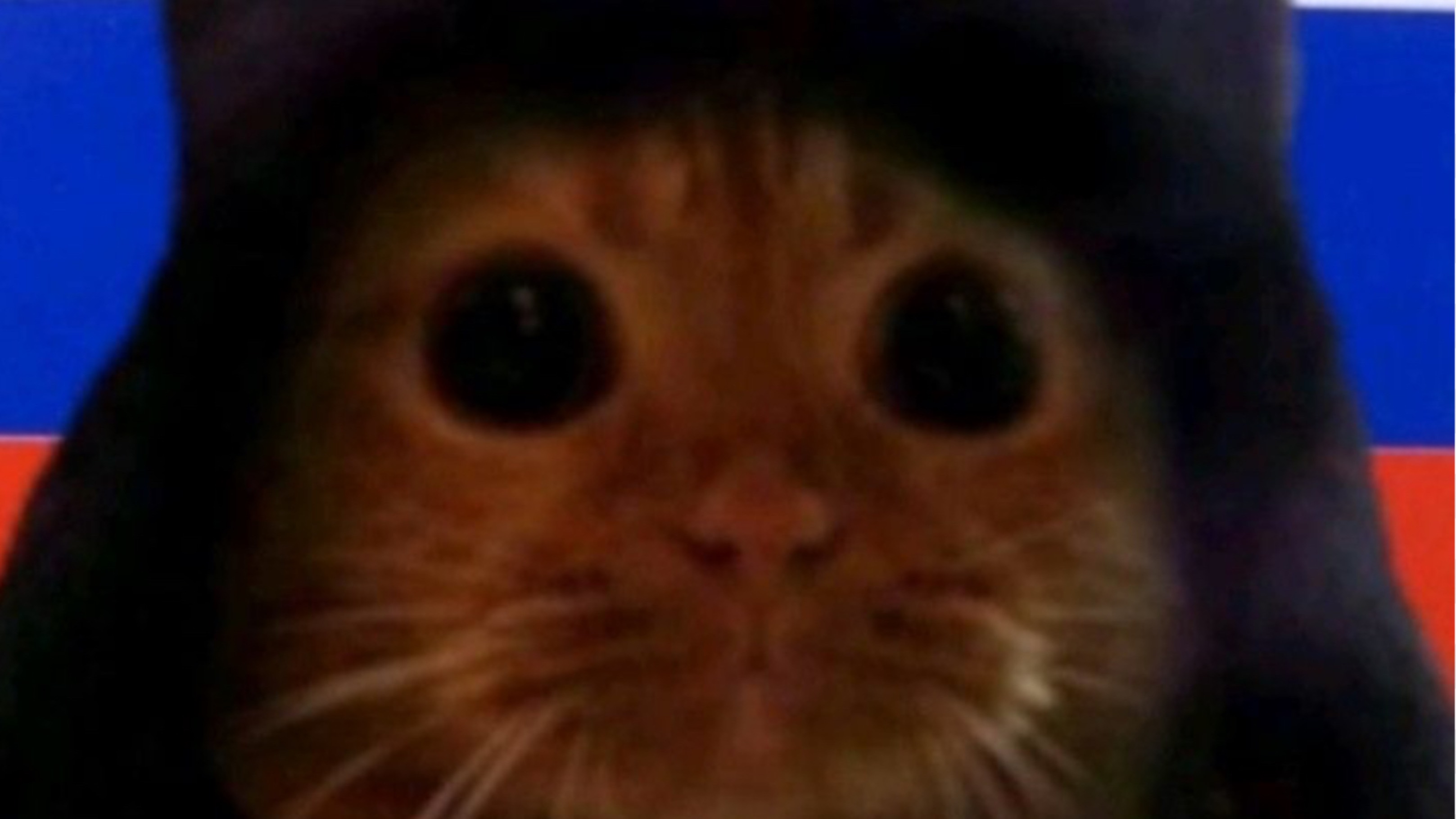 Супер лига футбола