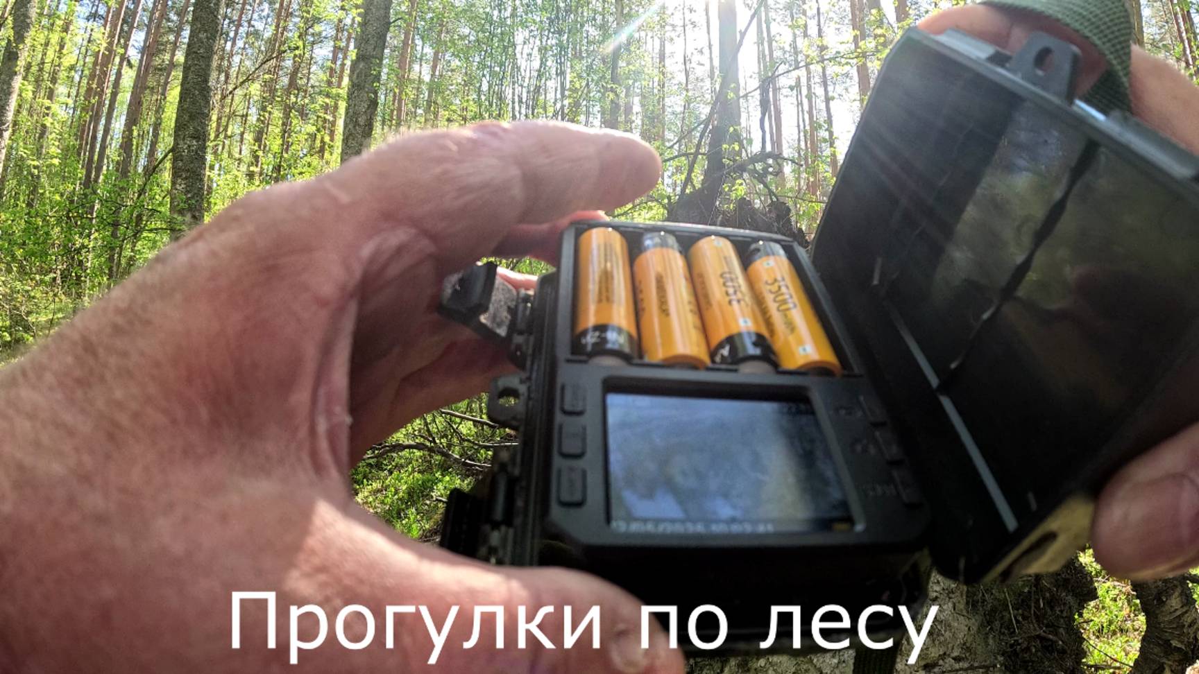 Про велосипед-донор. Косули на фотоловушке.