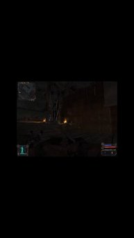 Пока одни молятся, "Меченый" кидает гранаты... #сталкер #