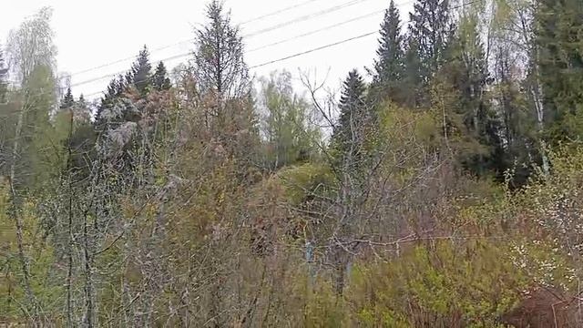 Видео WhatsApp 2025-05-12 в 14.02.30_67954c3d