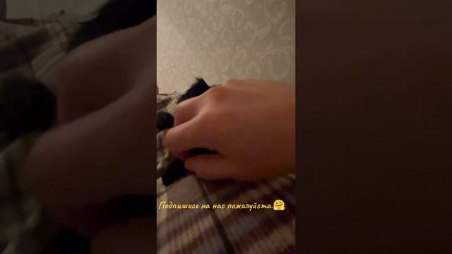 Наша Бусинка