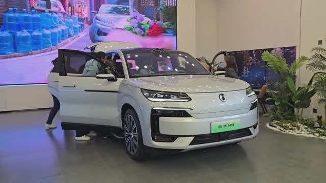 BYD Denza N9 2025 - Интерьер и Экстерьер