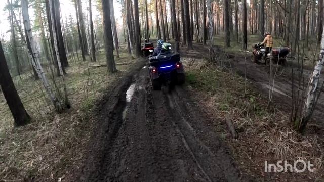 Выбираемся из леса, силы на исходе)