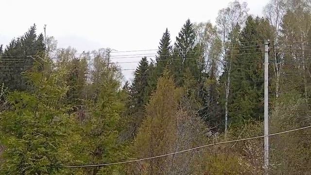 Видео WhatsApp 2025-05-12 в 14.02.28_be43337d